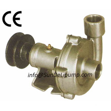 (PC8000-3/4 ", 1 ») Pompes à eau Marine mer crus inox/laiton